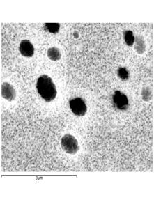 Double aging treatment is not only used commonly to control the size distribution of γ particles but also to control the grain boundary morphology of carbides. Figure 4.
