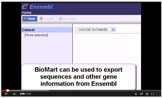 BioMart video