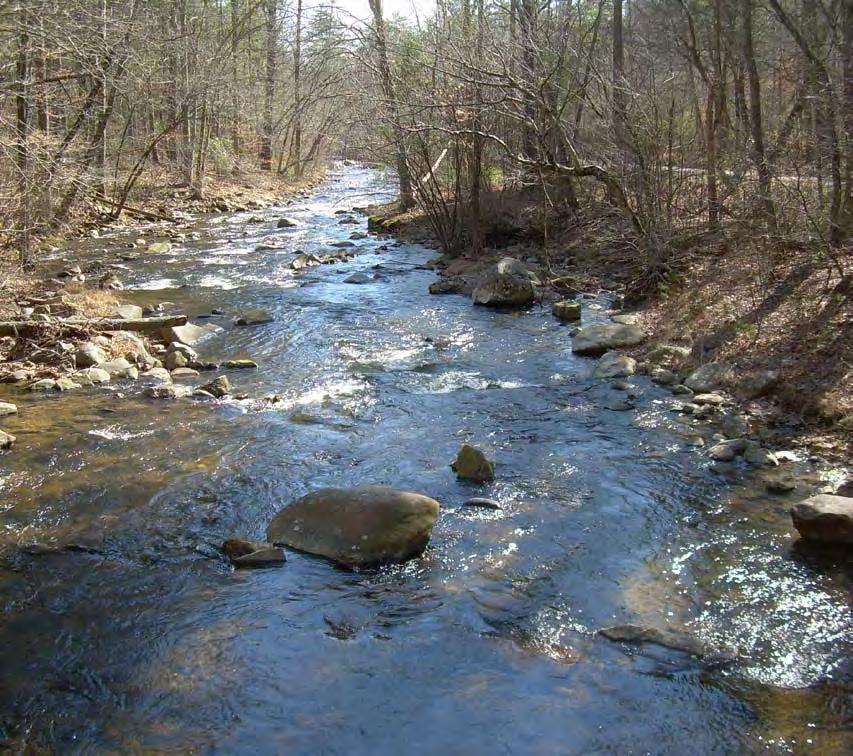 Brown Mountain Creek upstream of Pedlar Reservoir, the primary source of drinking water for the City of Lynchburg The State of Our