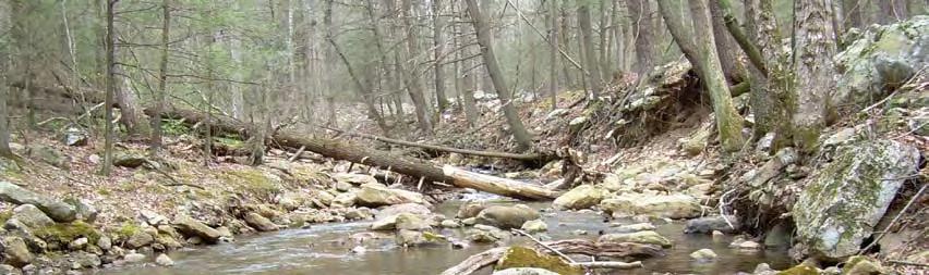 Little Stony Creek, a trout stream and tributary of the North Fork Shenandoah River 14 It is interesting to note that only five exceptional wild trout streams (Class I) occur in the GWNF, and all are