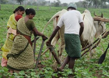 Feminization of Agriculture in the