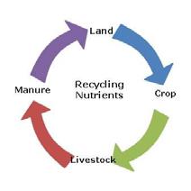 livestock-crop farming