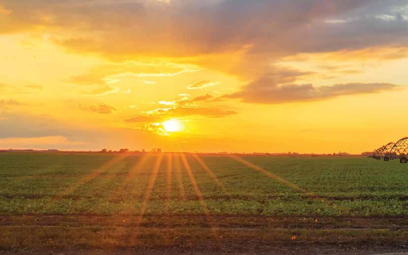 CropInsurance TODAY Efficient Irrigation Considerations for Crop Insurance By James Houx, NCIS The practice of efficient irrigation has become more prevalent in farming as growers face decreasing