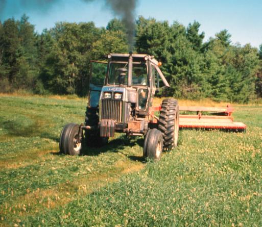 Harvesting has a role in grazing system Take