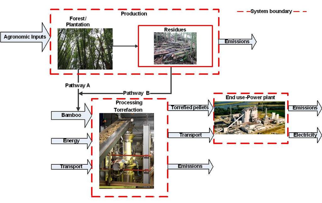 Biomass chain assessment Security of supply