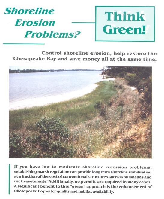 Why Living Shorelines? In Virginia, the use of native riparian and wetland vegetation to stabilize eroding shorelines has been advocated for decades.