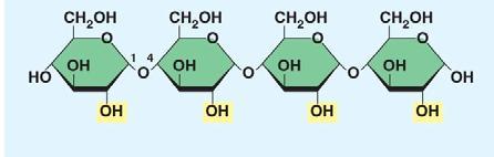 Let s look at our reaction in question 7 again: C6H12O6 + C6H12O6 C12H22O11 + H2O Notice that two monomers are joined to make a polymer.