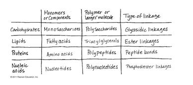 Polymers and