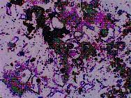 Optical Mineralogy: G Grain Mount Analysis O Thin Section Analysis O Refractometer Test Cleavage: Some parallel to c-axis Color: none Researched: none Pleochroism: none Researched: none Relief: