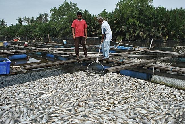 December 2011- huge waves hit Kuala Besut, Terengganu, people have to move- damaging the fisherman s livelihood assets: houses,