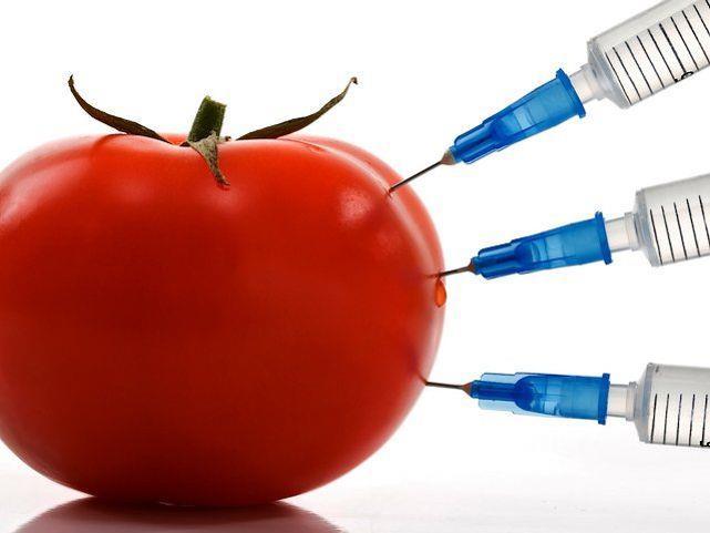 Genetically Modified