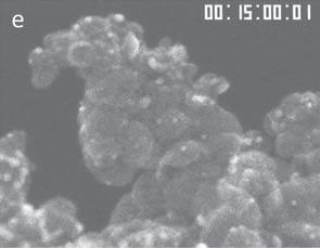 electrode catalyst specimens in an atmospheric air environment, and simultaneous, in-situ scanning electron microscope/ scanning transmission electron microscope (SEM/ STEM) observation.