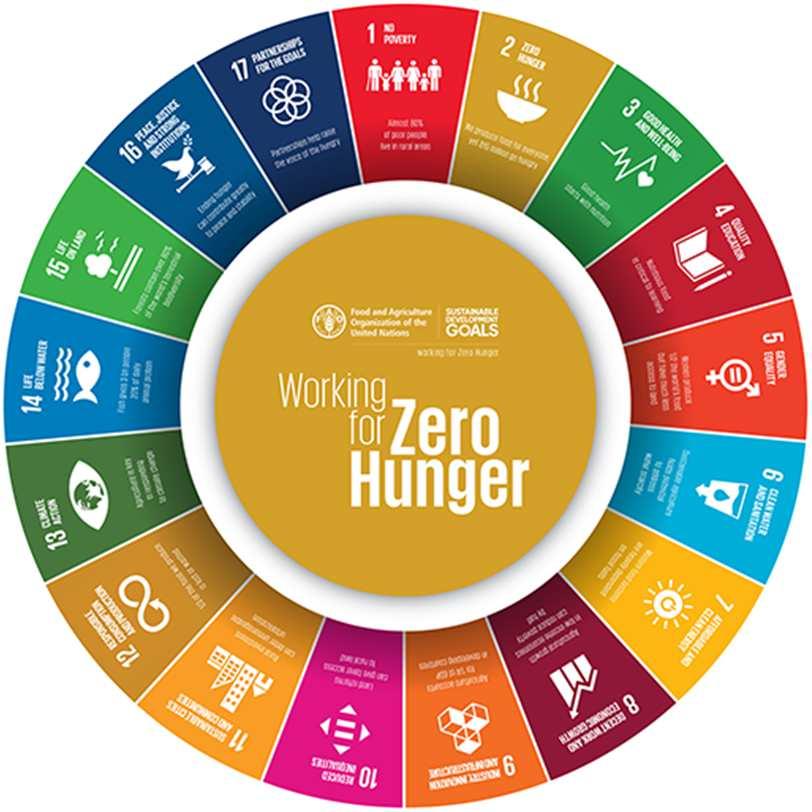 Enable countries to compile and use SDG indicators for achieving food security