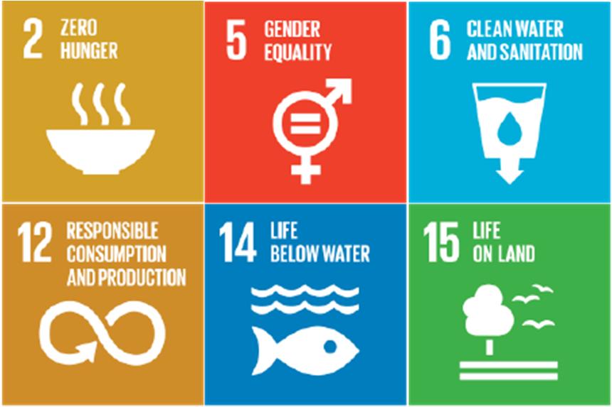 4 Support countries in the adoption of SDG indicators - 1/2 11 Thematic Areas 1. Food Security 2. Smallholders income and productivity 3. Sustainable agriculture 4. Women s access to land 5.