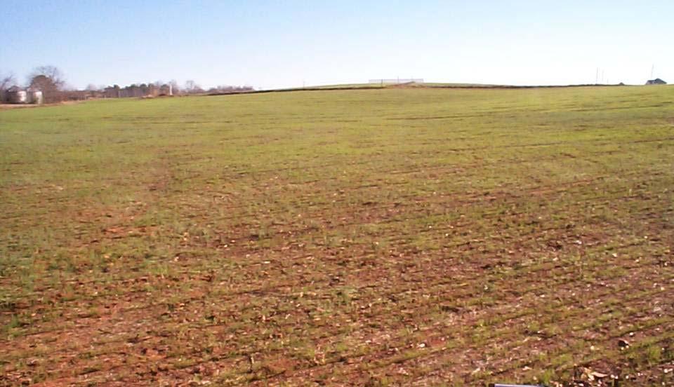 State of Grassland Newly established grassland on previously degraded cropland?