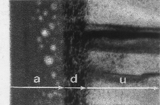 70 S.O. Kucheyev et al. / Materials Science and Engineering 33 (2001) 51±107 Fig. 16. A bright-field XTEM image of GaN implanted at LN 2 with 180 kev Ar ions to a dose of 6 10 15 cm 2.