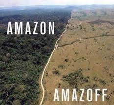 Why are tropical rainforests important for our planet? 2. Why do people keep destroying these forests? 3. Do you think these people are right or wrong? 4.