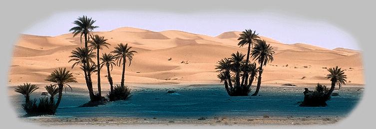 An oasis is a water source in the desert that provides water for humans and animals. The Bedouins use camels to carry their belongings across the desert.