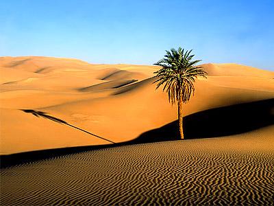 22 6. Calculate the average annual rainfall for Timbuktu. 7. Can you explain why the average rainfall is much higher than the average for the Sahara Desert? 8.