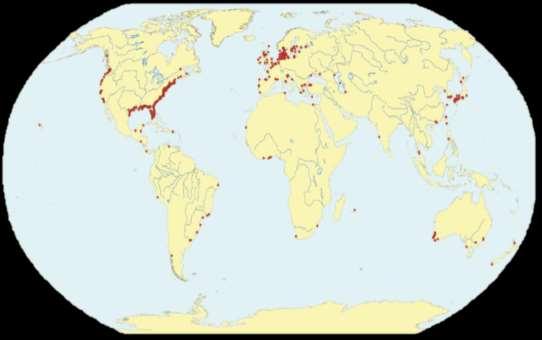 Coastal Hypoxia Locations Across the Globe Map modified from Rabalais et al. (2010), based on data reported by Diaz & Rosenberg (2008) and Levin et al.