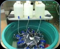 N 2 O (nm) Overview Field and Lab Methods Water and Sediment Core Collection