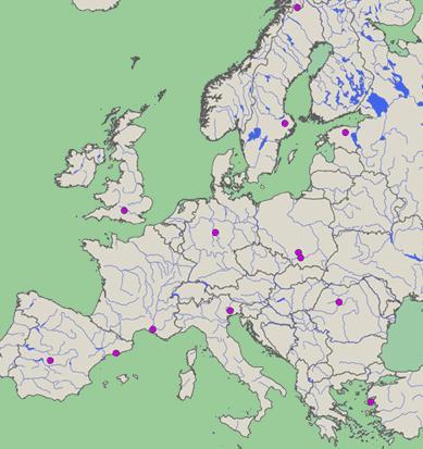 franklini & Megachile pluto Regional Red Lists: 8 of 25 EU