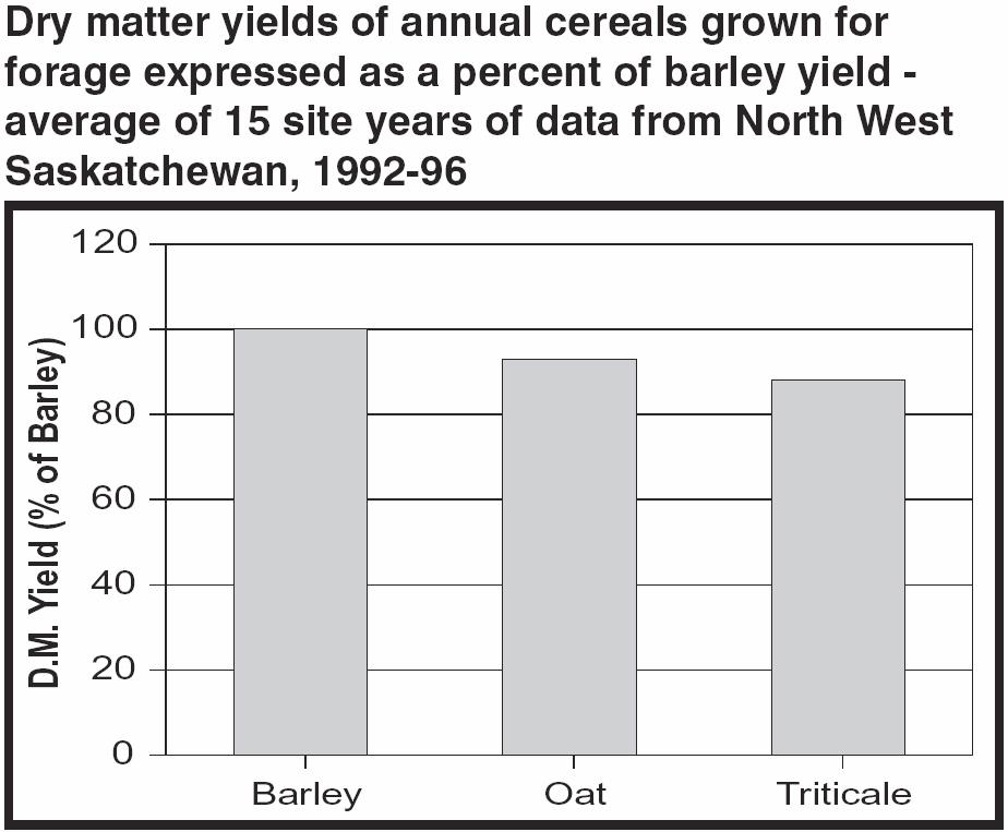 Annual crops can accumulate nitrates when growth is interrupted by environment stress, such as drought. Nitrates are toxic to livestock if they are present at 0.5% or greater.