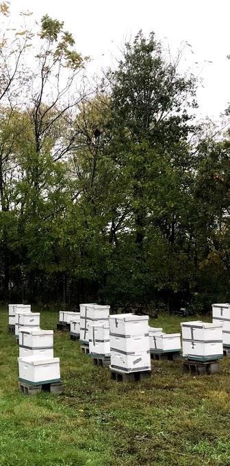 Finding the Right Place Consider Local Laws The City of Ames has no laws prohibiting keeping bees But neighbors may disagree