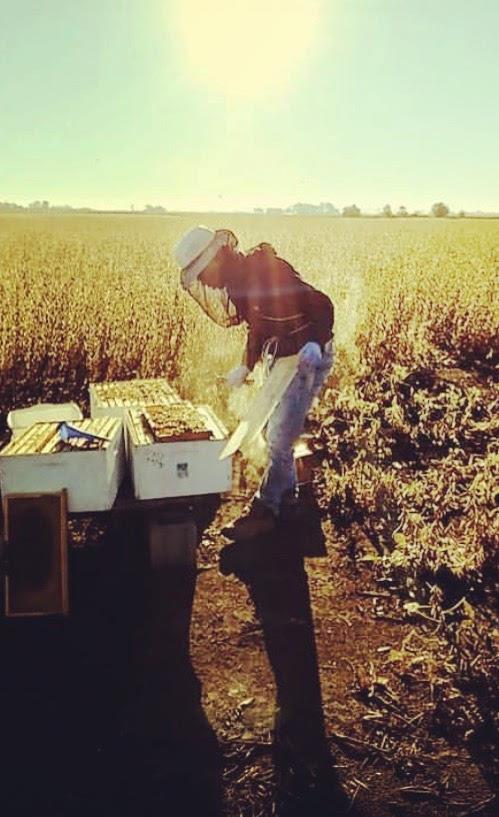 Iowa State Research Best Practices for Farmers Follow the Iowa Bee Rule Farmers may not apply