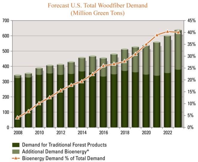 Relevance of Wood Bioenergy in a Timberland Portfolio Of all the environmental markets that have emerged during the last few years, the wood bioenergy market is the most defined and offers the