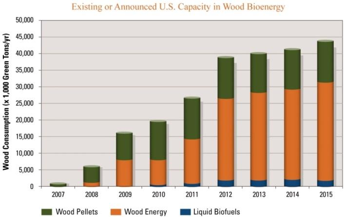 The arguments are convincing: (1) much of the technology is already established and proven; (2) capital investment in wood based bioenergy facilities continues to be strong both in the United States