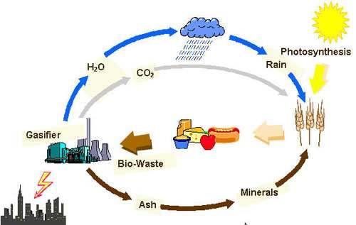 BIOMASS Biofuels Converting biomass into liquid a& gases fuels for transportation.
