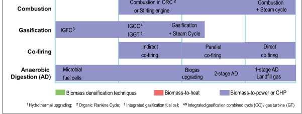 biomass-to-heat technologies (red)