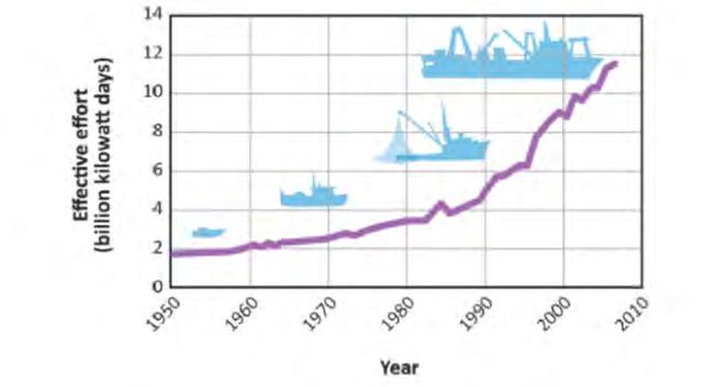 Fish & Fisheries Overfishing iden8fied as a priority issue in most LMEs. Effec8ve fishing effort: Steady increase since 1950 What drives unsustainable fishing?