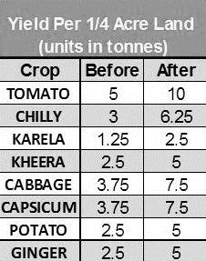 JHARKHAND: IMPACT ANNUAL CROP PLAN/ COSTS TOMATO CROP 1 CABBAGE CROP 2