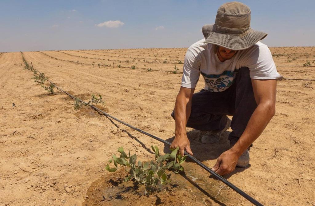 ABOUT NETAFIM Founded in 1965 by Farmers for Farmers In the desert area of kibbutz Hatzerim, which suffered from a severe lack of water, introducing Drip