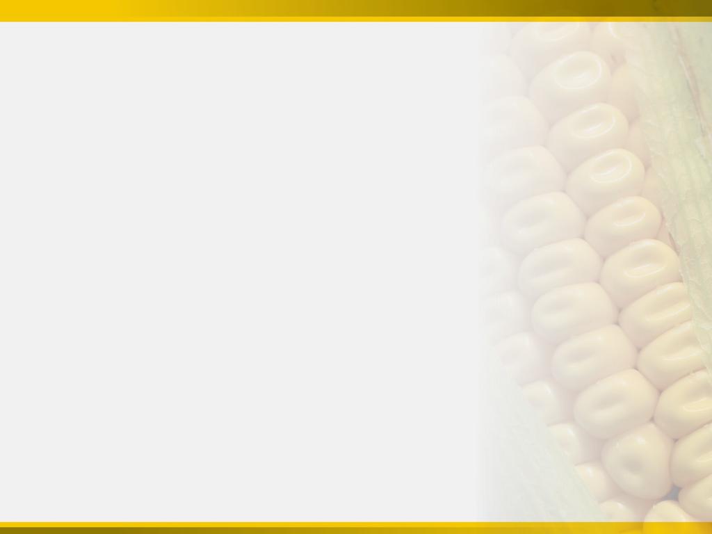 Genuity SmartStax : The Best Spectrum PRIMARY PESTS European Corn Borer (Ostrinia nubilalis) Southwestern Corn Borer
