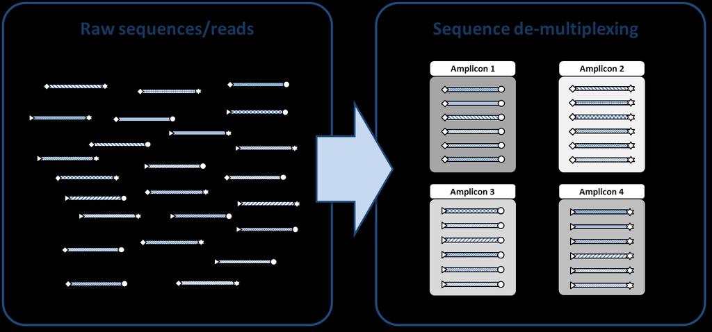 De-multiplexing Organizes the multiplexed reads into amplicons (single PCR products)