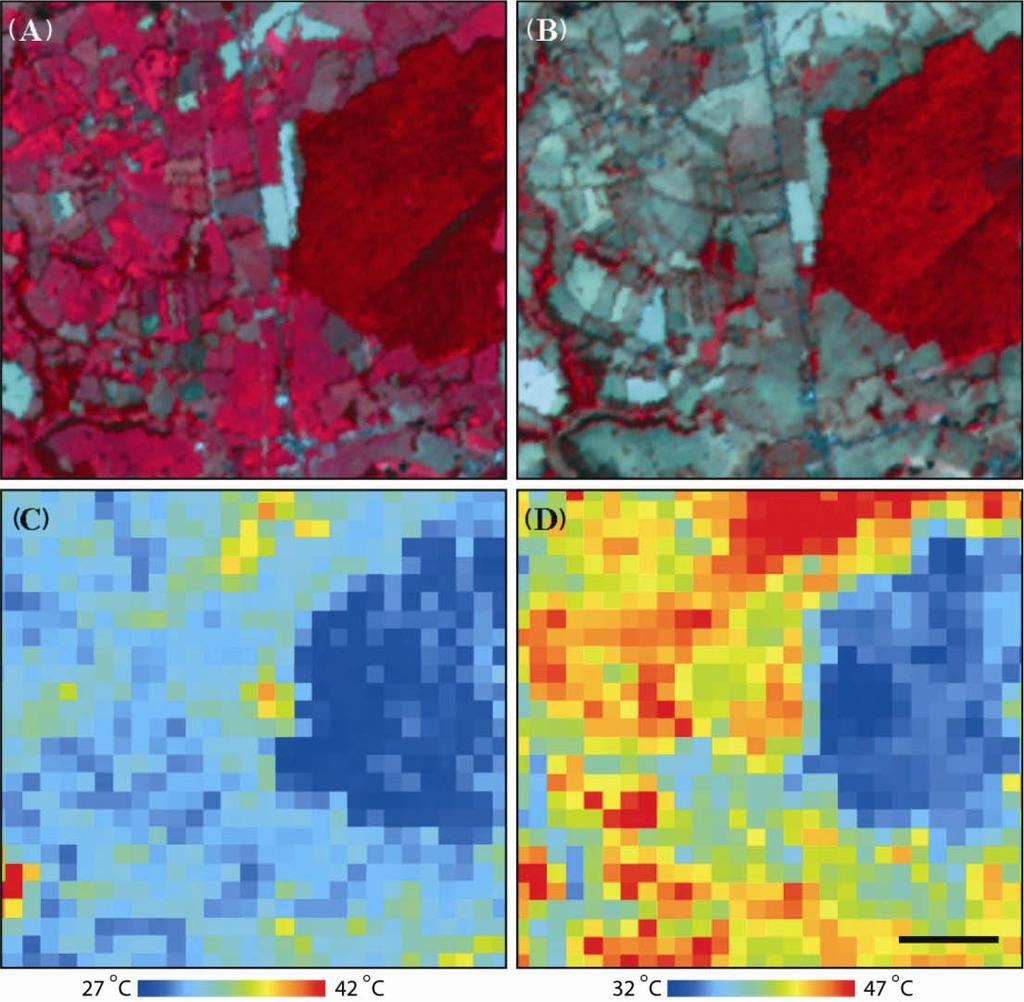 Soil water affects the Δ(forest-crop) Central France 1 August 2000 10 August 2003 Surface reflectance Forest 2000 2003 Change NDVI 0.87 0.87 0 Albedo 0.19 0.17-0.02 T R (ºC) 29 40 +11 Crops NDVI 0.