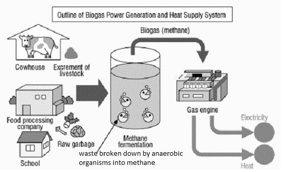 Biogas Biogas is another type of biofuel, but is produced by micro-organisms breaking down organic waste in anaerobic conditions (no oxygen).
