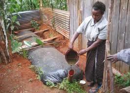 Indirect Solar Energy Biogas Biomass can be converted into a mixture of gases Mostly methane Biogas digesters produce gas for cooking and lighting, by microbial