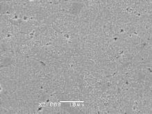 SEM images of spherical powder compacts produced at