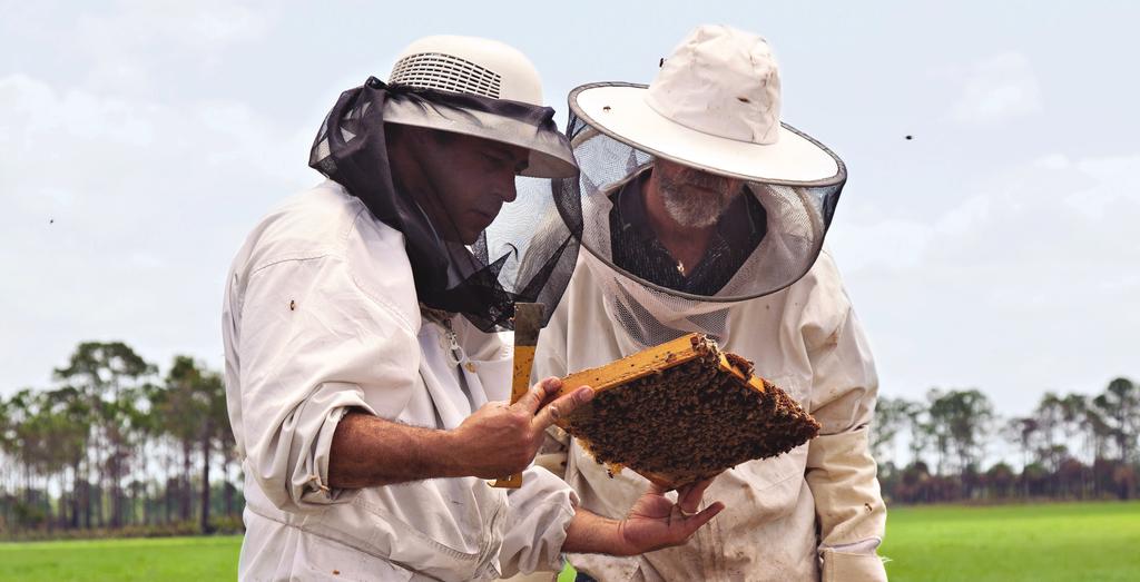 U.S. BEEKEEPING INDUSTRY Although there are many components, the beekeeping industry has not historically seen much technological advancement.