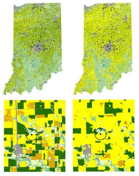 Insecticides Risks in Indiana Yellow represents areas with neonicotinoid treated corn Left: Neonicotinoid risk without