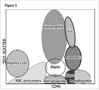 CD45-Leukocyte common antigen - CD45 is a common marker of hematopoietic cells