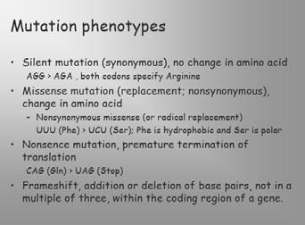 Sources of genetic variation: point mutations Sources of genetic variation: DNA rearrangements