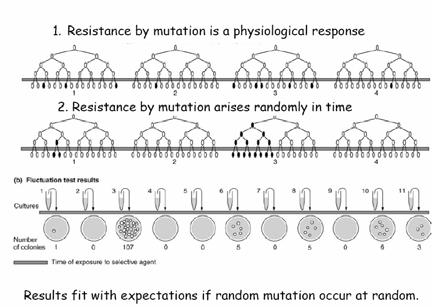 test Horizontal transmission  test Transmission of genetic variation: