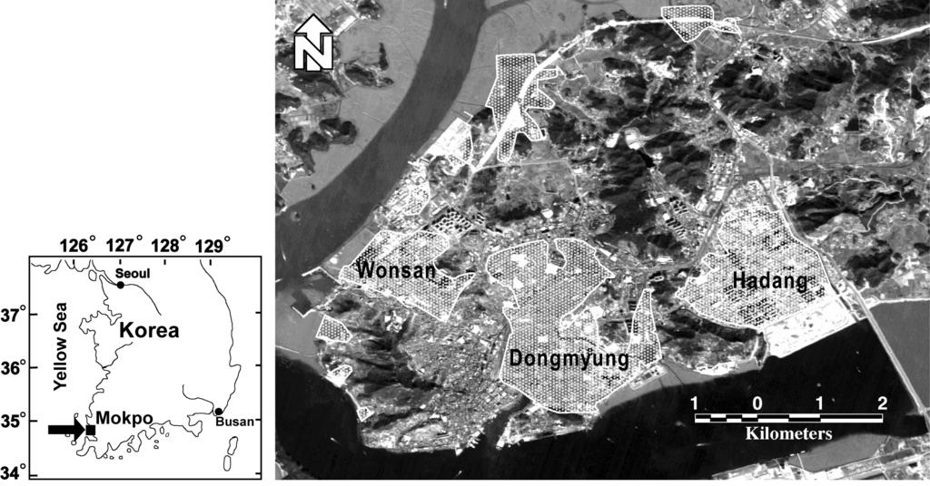 454 S.-W. KIM et al.: INSAR-BASED MAPPING OF SUBSIDENCE IN MOKPO CITY Fig. 1. Location map and IRS-1C optic image of the study area, which is occupied by a coastal city.