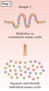 acids are involved Hydrolysis