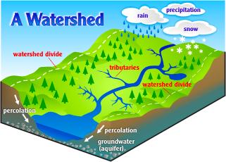 Catchment Areas AKA Watersheds A Catchment Area or Watershed is an area on land where all inland water